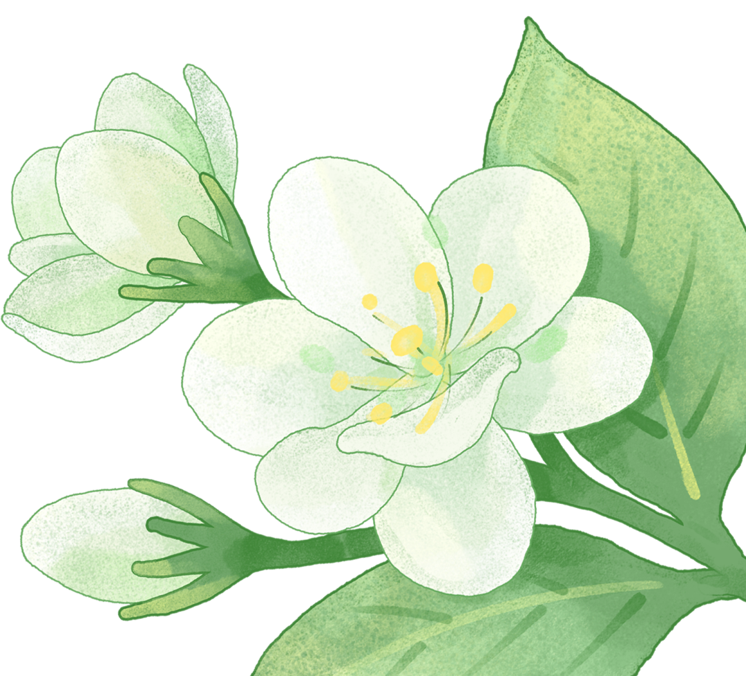 092856sv3rr3on3b5zlg3n.png