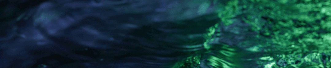 141929nt46yfpojjwjtiou.gif