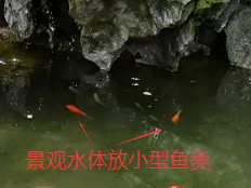131014cxu5zr7x14gck7pc.png