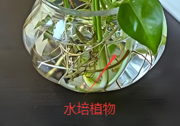 131014phqbibssjweoqibb.png