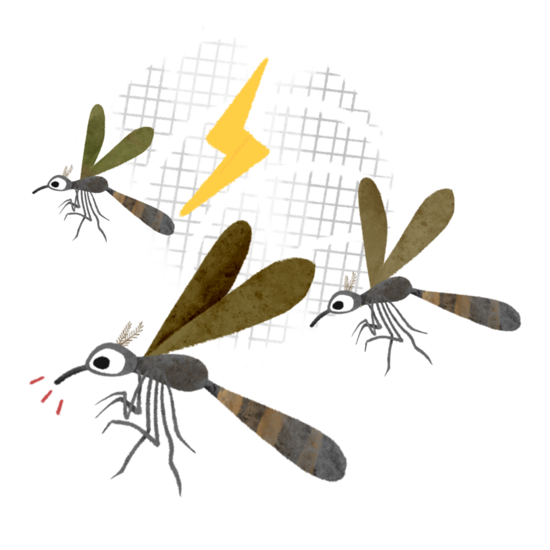 105905jtzbkzt4uqxqp34e.png