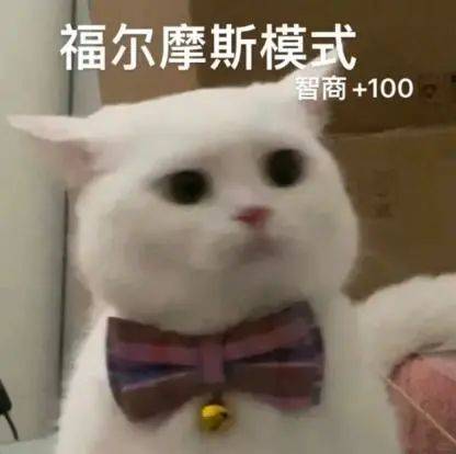 110611a9f9h92a9a9fxaz8.jpeg