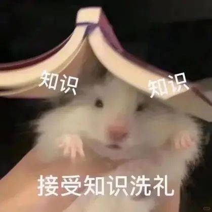 110611clfla7f5ata00yy5.jpeg