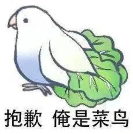 110611ygqj69jyj1yyygqb.jpeg