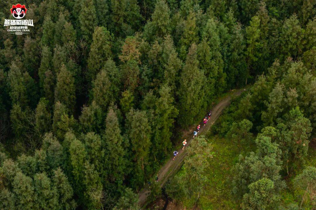 这个冬日，解锁家门口的运动自由！